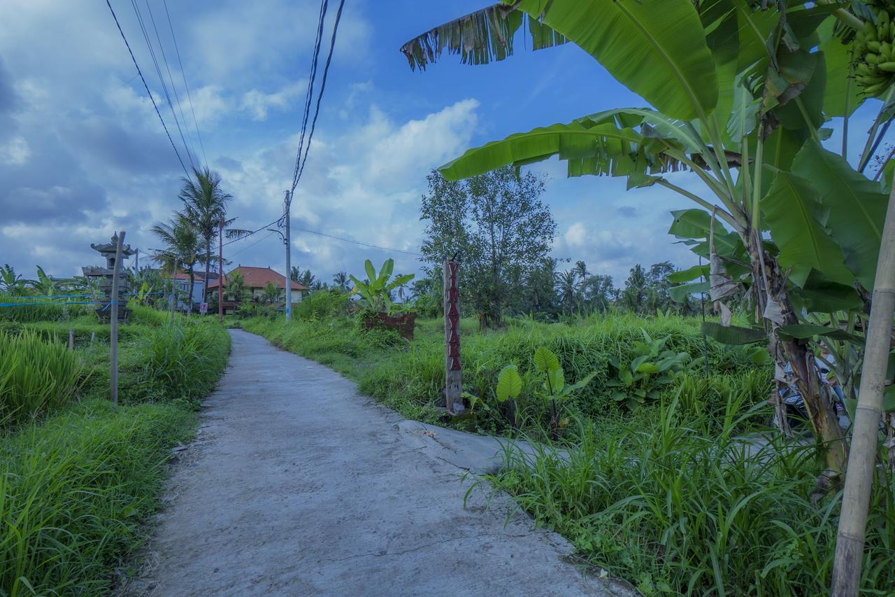Vinayaka Ubud Exterior foto